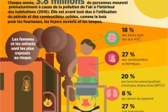 WHO Nada Air Pollution Slides cs6_FR3 WHO Nada Air Pollution Slides cs6_FR3