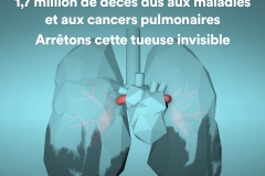 air-pollution-infographics-lung-fr air-pollution-infographics-lung-fr
